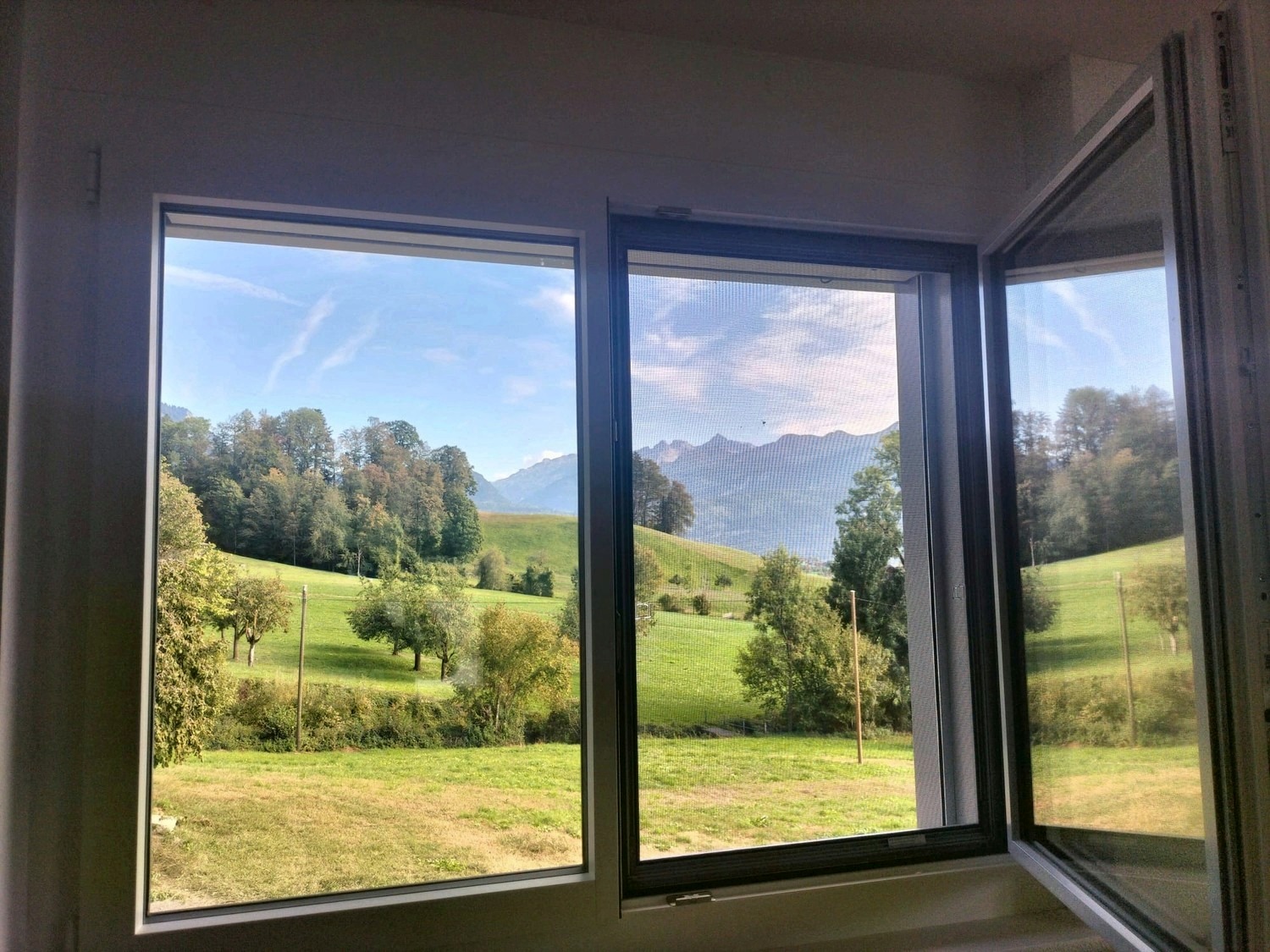 Komplette Fenstersituation mit Insektenschutz-Spannrahmen, Blick auf die Landschaft